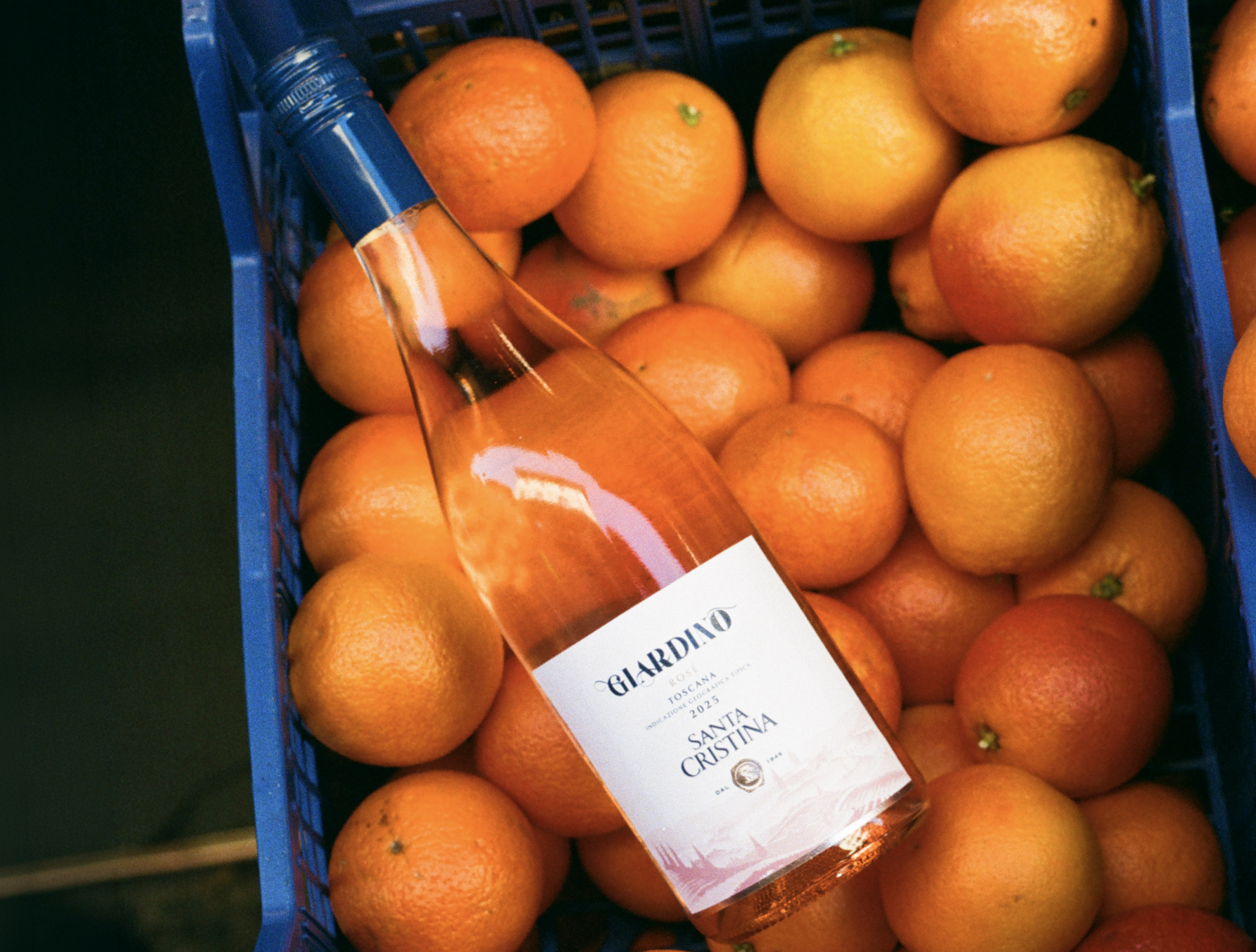 Giardino Rosé 3